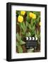 Black and White Cinema Clapper Board on Ground among Field of Yellow Tulips-Paha_L-Framed Photographic Print