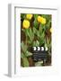 Black and White Cinema Clapper Board on Ground among Field of Yellow Tulips-Paha_L-Framed Photographic Print