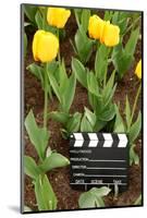 Black and White Cinema Clapper Board on Ground among Field of Yellow Tulips-Paha_L-Mounted Photographic Print