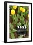 Black and White Cinema Clapper Board on Ground among Field of Yellow Tulips-Paha_L-Framed Photographic Print