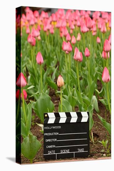 Black and White Cinema Clapper Board on the Ground among Field of Pink Tulips-Paha_L-Stretched Canvas