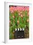 Black and White Cinema Clapper Board on the Ground among Field of Pink Tulips-Paha_L-Framed Photographic Print