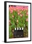 Black and White Cinema Clapper Board on the Ground among Field of Pink Tulips-Paha_L-Framed Photographic Print