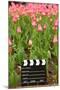 Black and White Cinema Clapper Board on the Ground among Field of Pink Tulips-Paha_L-Mounted Photographic Print