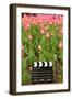 Black and White Cinema Clapper Board on the Ground among Field of Pink Tulips-Paha_L-Framed Photographic Print
