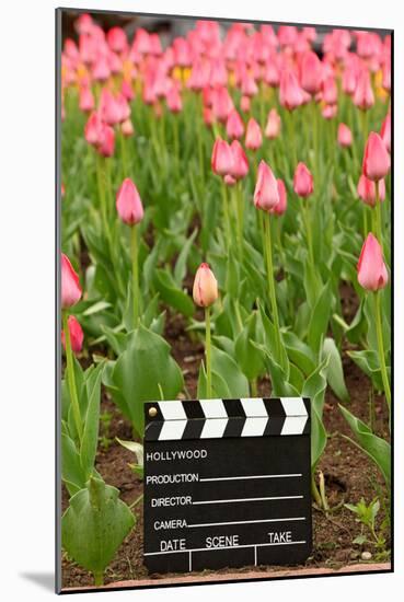 Black and White Cinema Clapper Board on the Ground among Field of Pink Tulips-Paha_L-Mounted Photographic Print