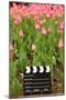 Black and White Cinema Clapper Board on the Ground among Field of Pink Tulips-Paha_L-Mounted Photographic Print