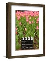 Black and White Cinema Clapper Board on the Ground among Field of Pink Tulips-Paha_L-Framed Photographic Print