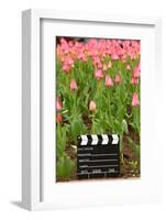 Black and White Cinema Clapper Board on the Ground among Field of Pink Tulips-Paha_L-Framed Photographic Print