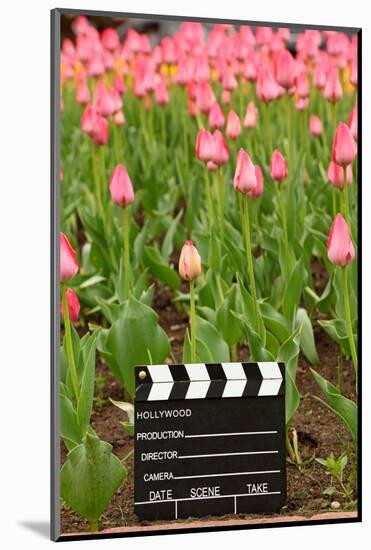 Black and White Cinema Clapper Board on the Ground among Field of Pink Tulips-Paha_L-Mounted Photographic Print