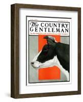 "Black and White Cow in Profile," Country Gentleman Cover, July 21, 1923-Charles Bull-Framed Giclee Print