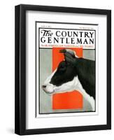 "Black and White Cow in Profile," Country Gentleman Cover, July 21, 1923-Charles Bull-Framed Giclee Print