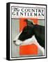 "Black and White Cow in Profile," Country Gentleman Cover, July 21, 1923-Charles Bull-Framed Stretched Canvas