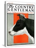 "Black and White Cow in Profile," Country Gentleman Cover, July 21, 1923-Charles Bull-Stretched Canvas