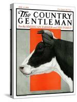 "Black and White Cow in Profile," Country Gentleman Cover, July 21, 1923-Charles Bull-Stretched Canvas