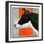 "Black and White Cow in Profile,"July 21, 1923-Charles Bull-Framed Giclee Print