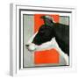 "Black and White Cow in Profile,"July 21, 1923-Charles Bull-Framed Giclee Print