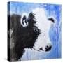 Black and White Cow-Michelle Faber-Stretched Canvas