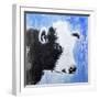 Black and White Cow-Michelle Faber-Framed Giclee Print