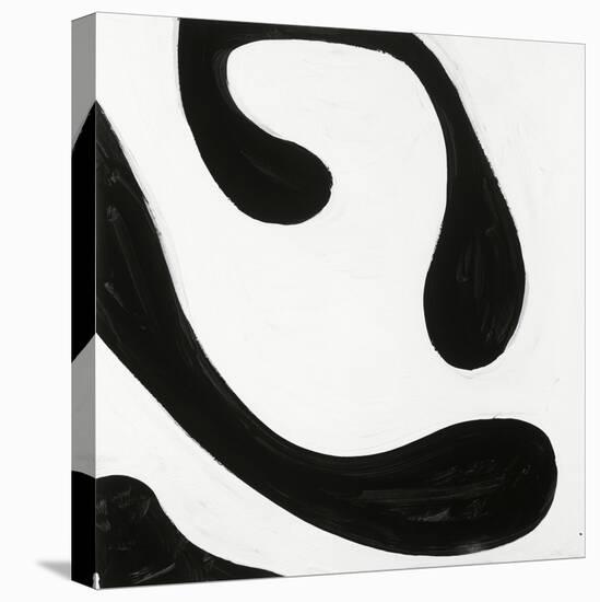 Black and White D-Franka Palek-Stretched Canvas