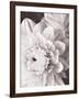 Black and White Dahlias I-Christine Zalewski-Framed Art Print