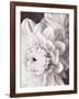 Black and White Dahlias I-Christine Zalewski-Framed Art Print