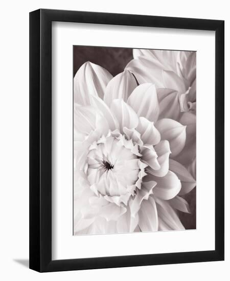 Black and White Dahlias I-Christine Zalewski-Framed Art Print