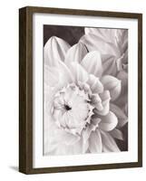 Black and White Dahlias I-Christine Zalewski-Framed Art Print