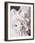 Black and White Dahlias I-Christine Zalewski-Framed Art Print