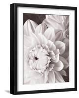 Black and White Dahlias I-Christine Zalewski-Framed Art Print
