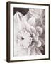 Black and White Dahlias I-Christine Zalewski-Framed Art Print