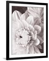 Black and White Dahlias I-Christine Zalewski-Framed Art Print