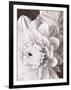 Black and White Dahlias I-Christine Zalewski-Framed Art Print