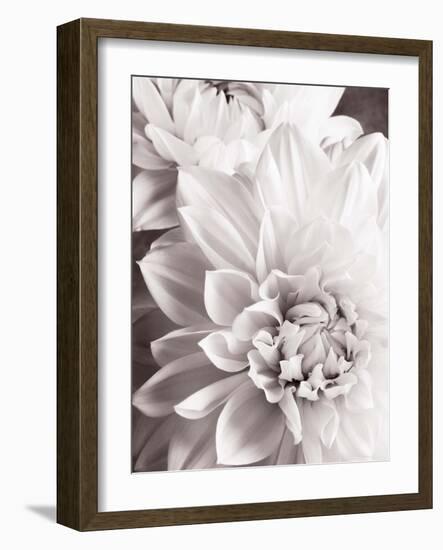 Black and White Dahlias II-Christine Zalewski-Framed Art Print