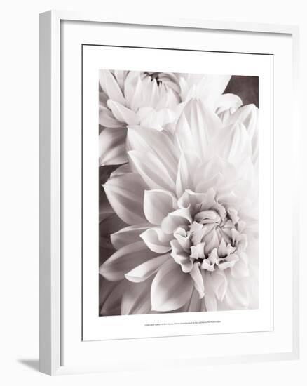 Black and White Dahlias II-Christine Zalewski-Framed Art Print