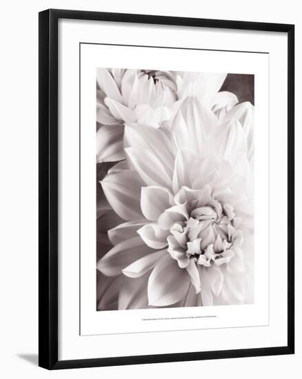 Black and White Dahlias II-Christine Zalewski-Framed Art Print