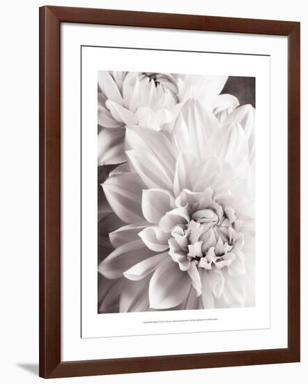 Black and White Dahlias II-Christine Zalewski-Framed Art Print