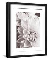 Black and White Dahlias II-Christine Zalewski-Framed Art Print