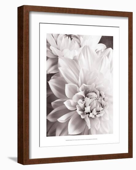 Black and White Dahlias II-Christine Zalewski-Framed Art Print