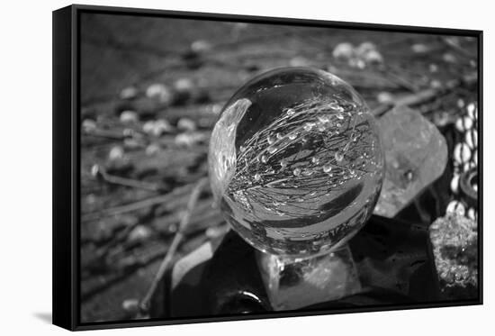 Black and White distorted view through a clear ball of branches and leaves-null-Framed Stretched Canvas