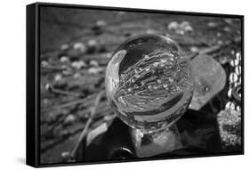 Black and White distorted view through a clear ball of branches and leaves-null-Framed Stretched Canvas