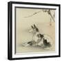 Black and White Dog, 1910-Ogata Gekko-Framed Giclee Print
