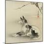 Black and White Dog, 1910-Ogata Gekko-Mounted Giclee Print