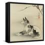 Black and White Dog, 1910-Ogata Gekko-Framed Stretched Canvas