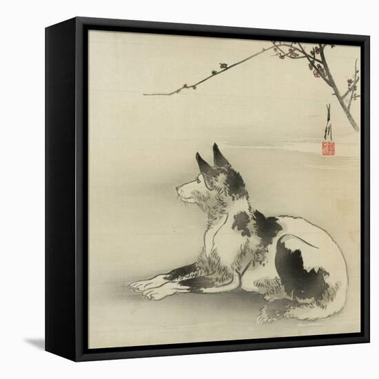 Black and White Dog, 1910-Ogata Gekko-Framed Stretched Canvas