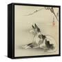 Black and White Dog, 1910-Ogata Gekko-Framed Stretched Canvas