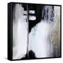 Black and White Drama-Karen Hale-Framed Stretched Canvas