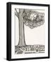 Black and White Drawing of Bird Looking at Clock on Tree Branch-Marie Bertrand-Framed Giclee Print