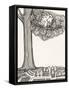 Black and White Drawing of Bird Looking at Clock on Tree Branch-Marie Bertrand-Framed Stretched Canvas