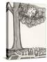Black and White Drawing of Bird Looking at Clock on Tree Branch-Marie Bertrand-Stretched Canvas